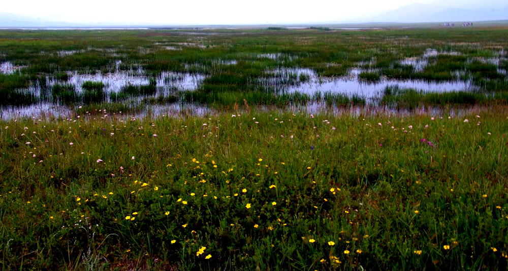 DSCF7591.JPG
