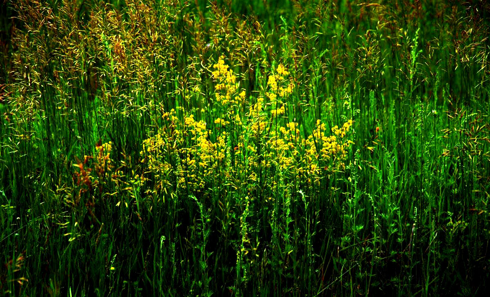 DSCF7328.JPG