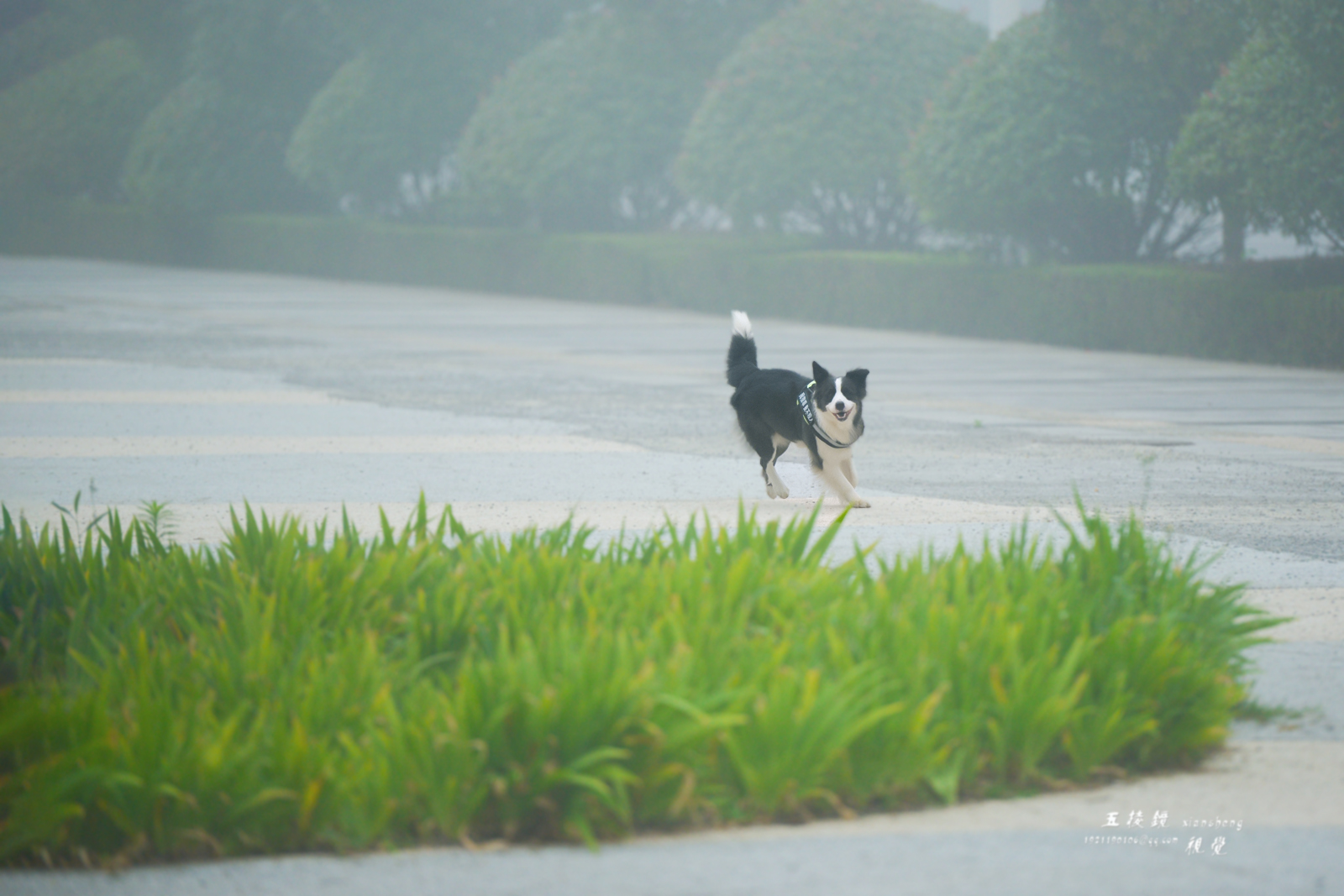 DSC_8857.JPG