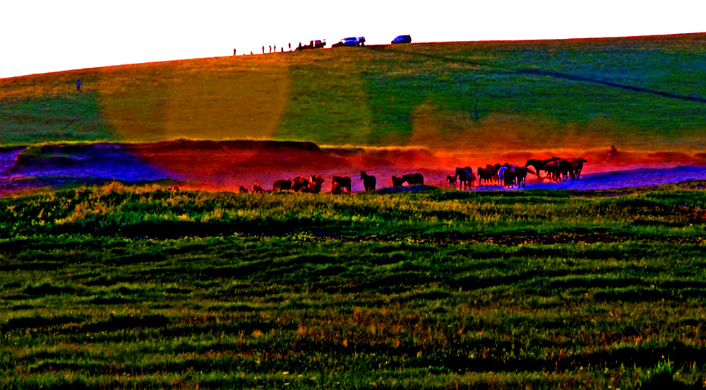 DSCF6265.JPG