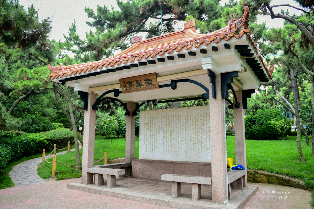 DSC_9631.JPG
