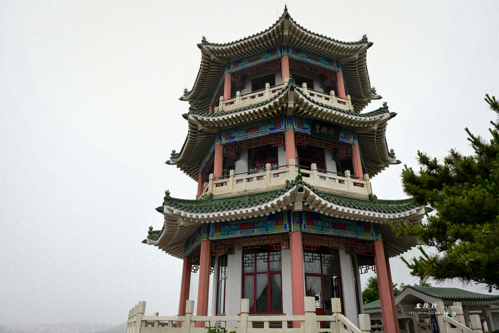 DSC_9697.JPG