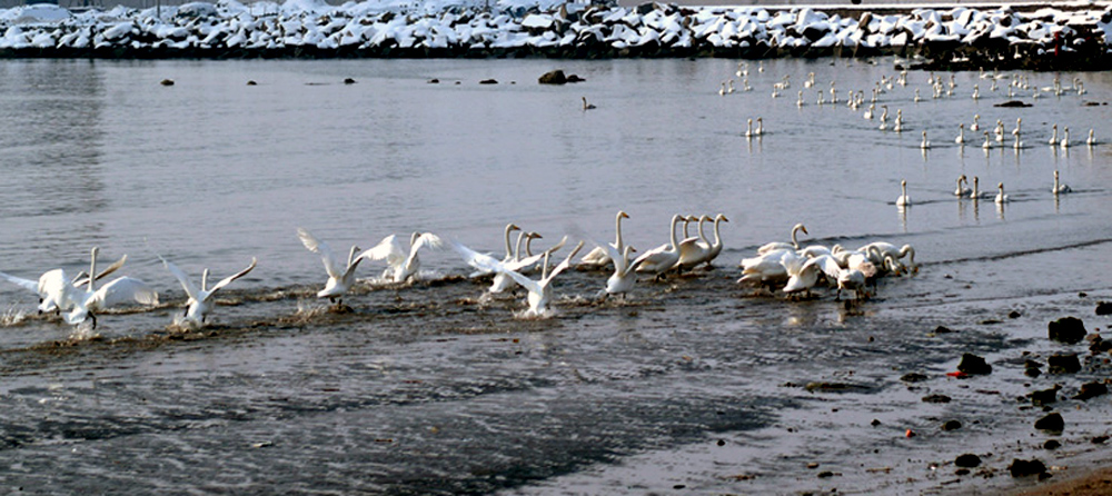 DSCF1033.JPG