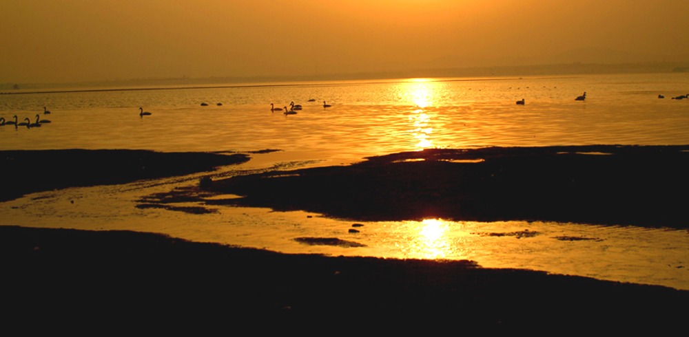 DSCF1137.JPG