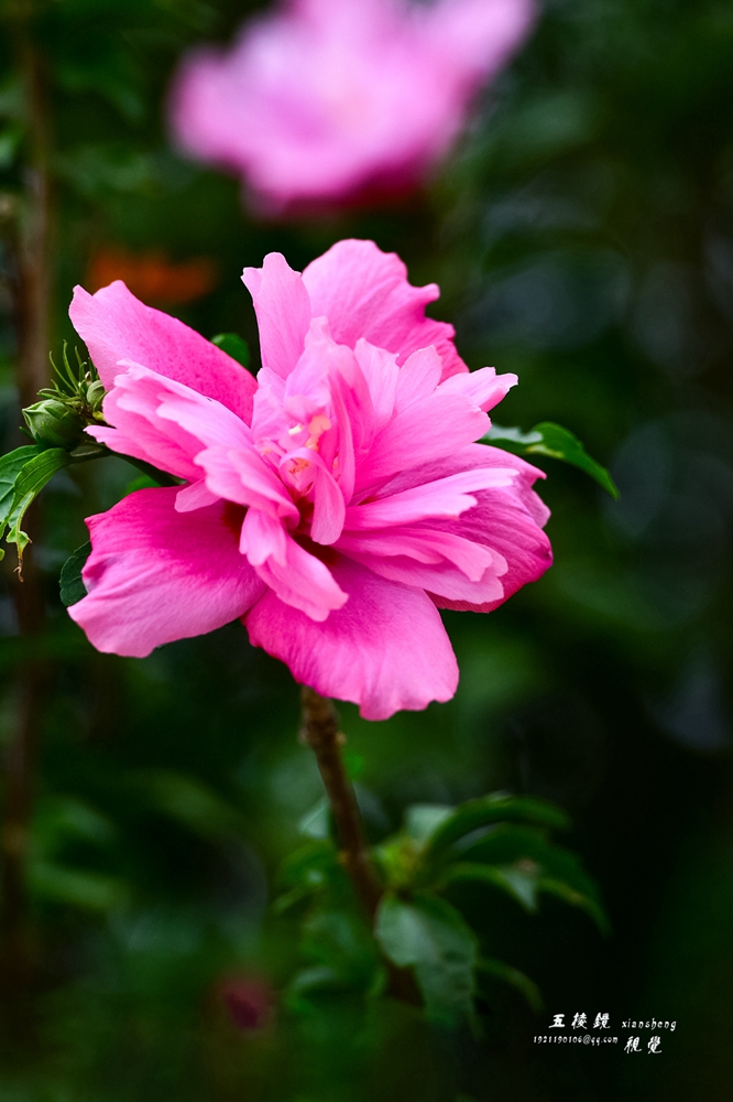 DSC_3635.JPG