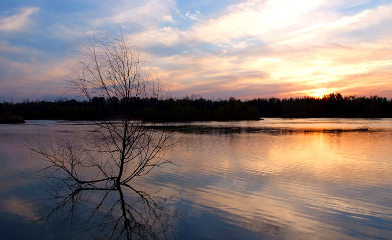 DSCF8690.JPG