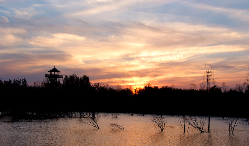 DSCF8697.JPG