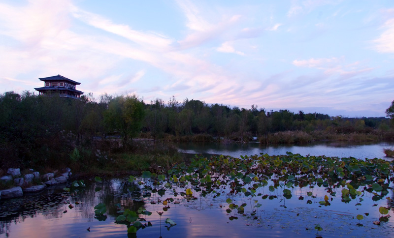 DSCF8712.JPG