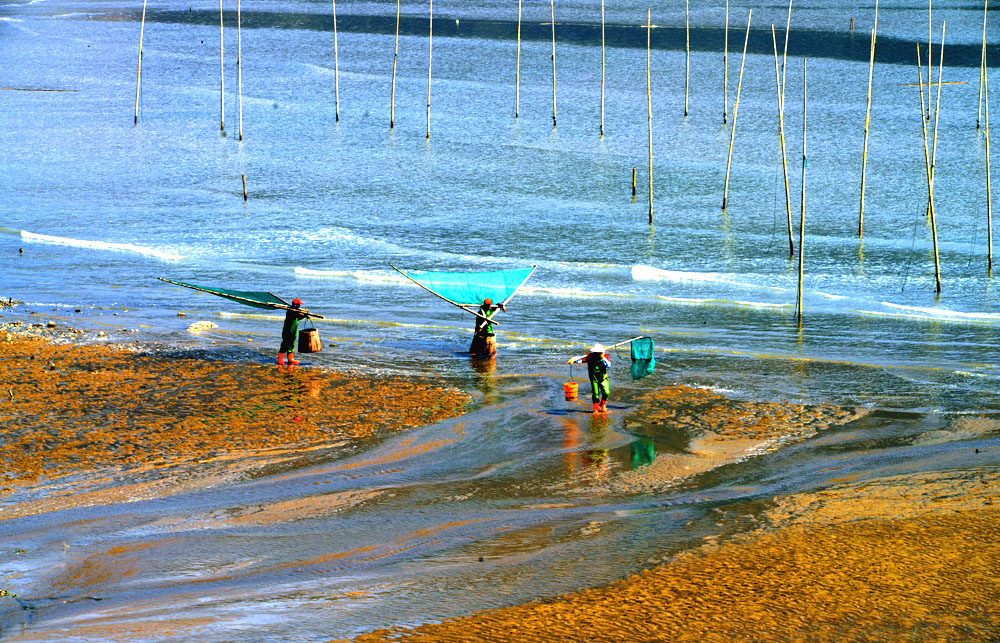 DSC_3495.JPG