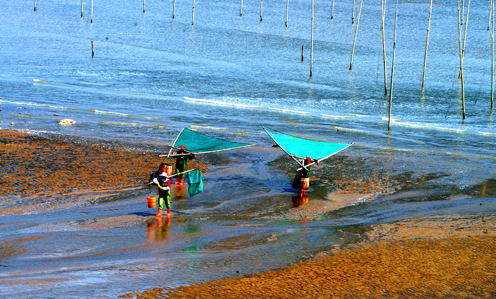 DSC_3503.JPG