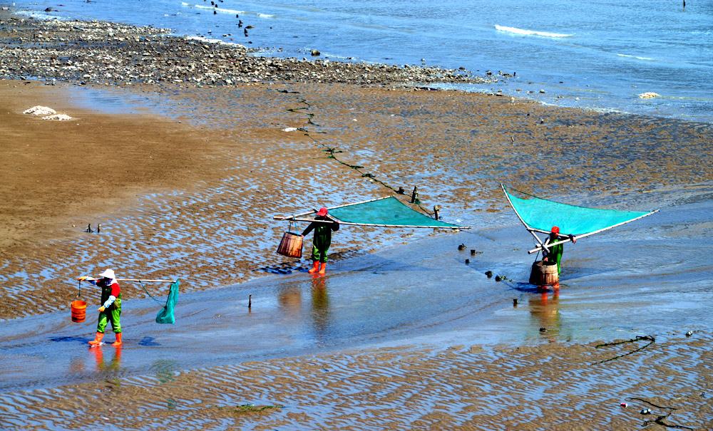 DSC_3514.JPG