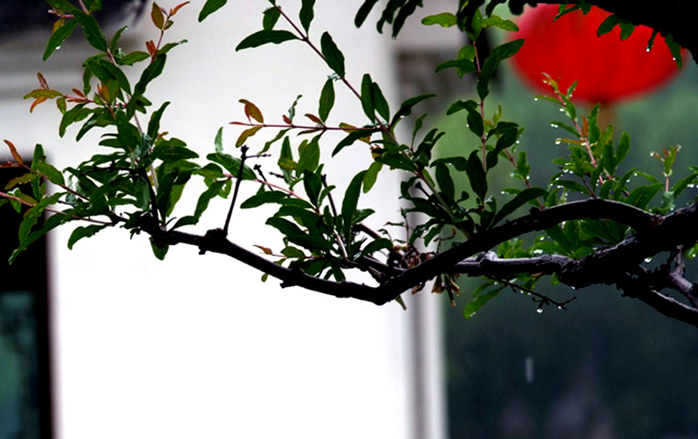 DSCF5927.JPG