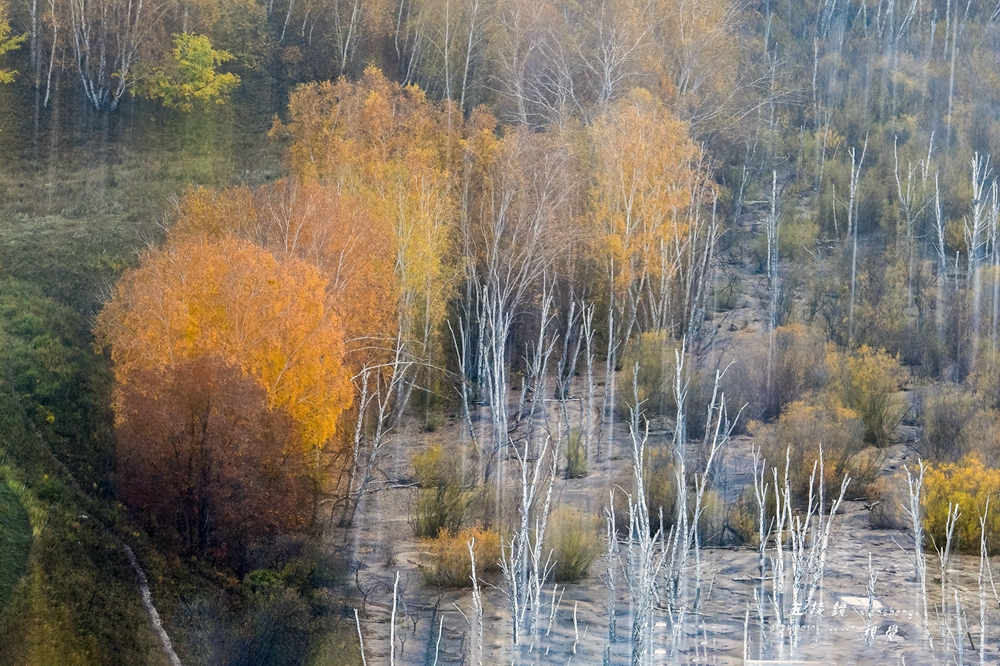 DSC_4975.JPG