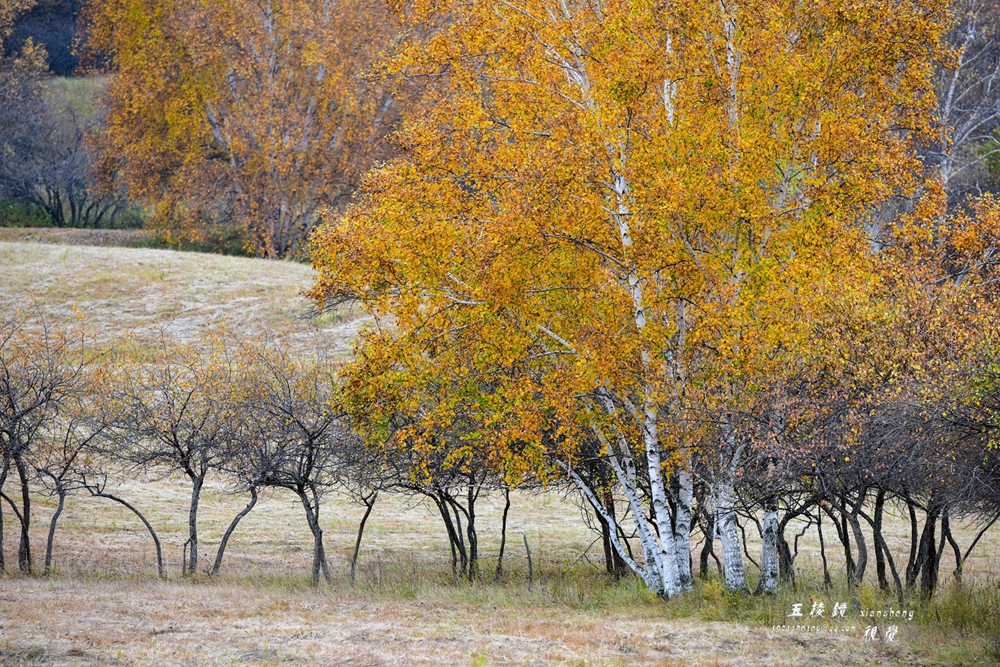 DSC_5036.JPG
