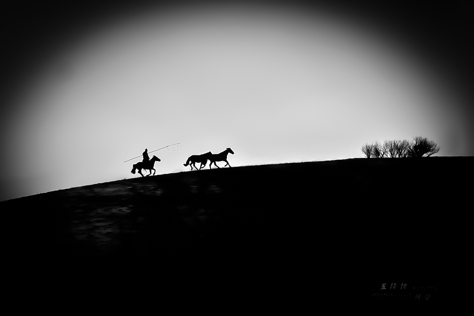 DSC_5366.JPG