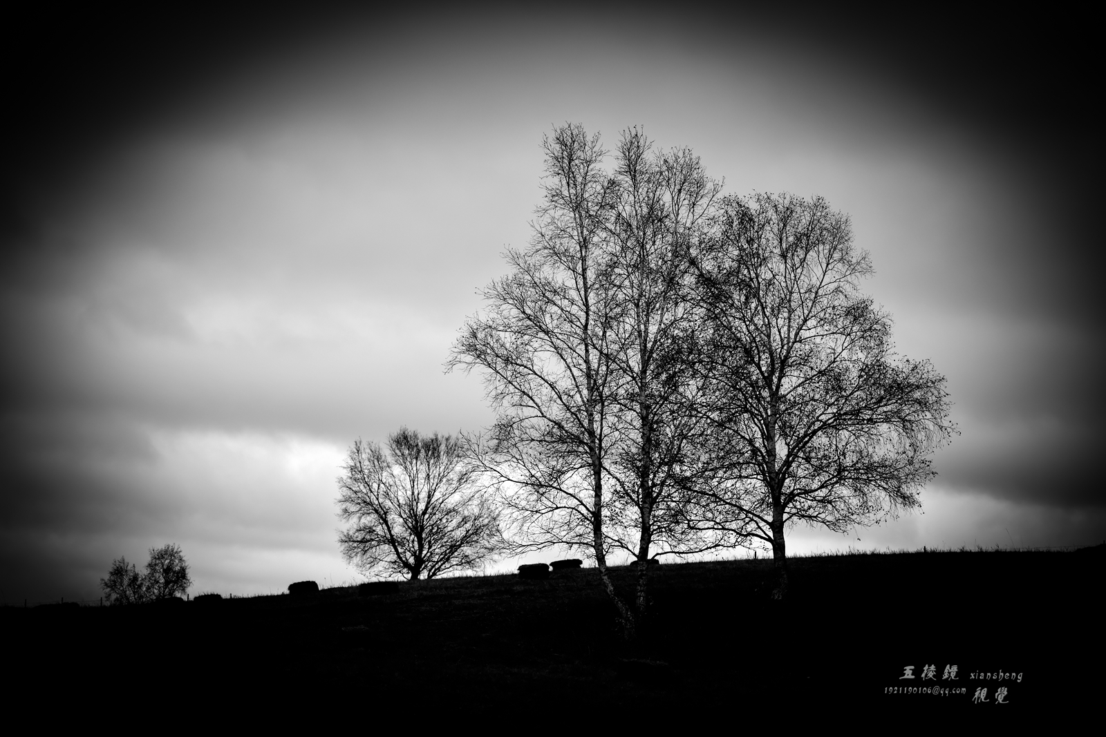 DSC_6426.JPG