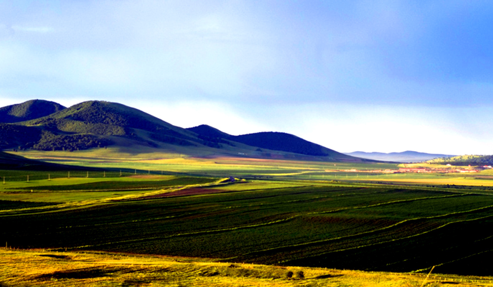 _DSF0084.JPG