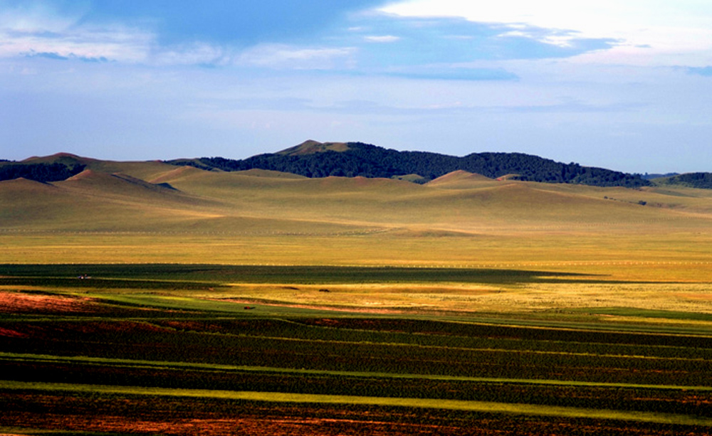 _DSF0089.JPG