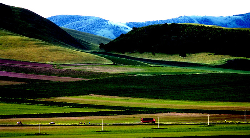 _DSF0097.JPG