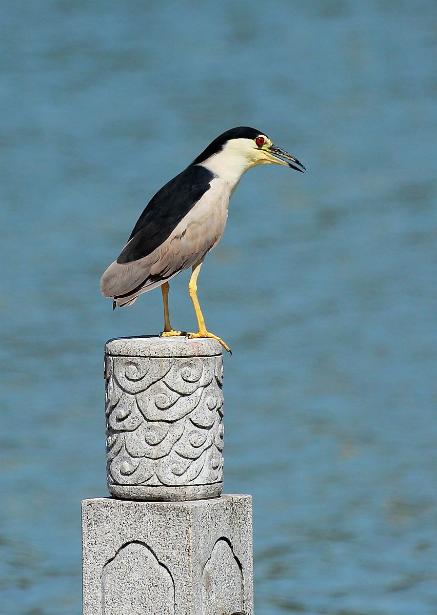 IMG_9705_副本.jpg