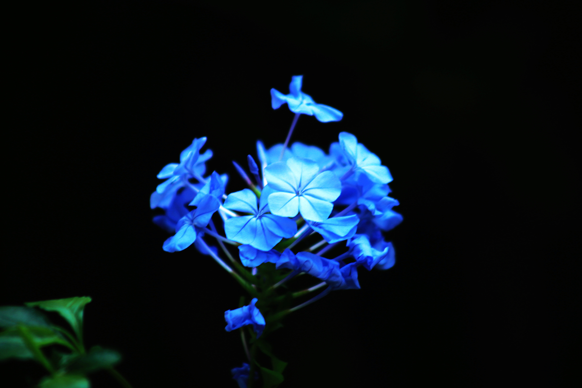 FU2A0280.JPG