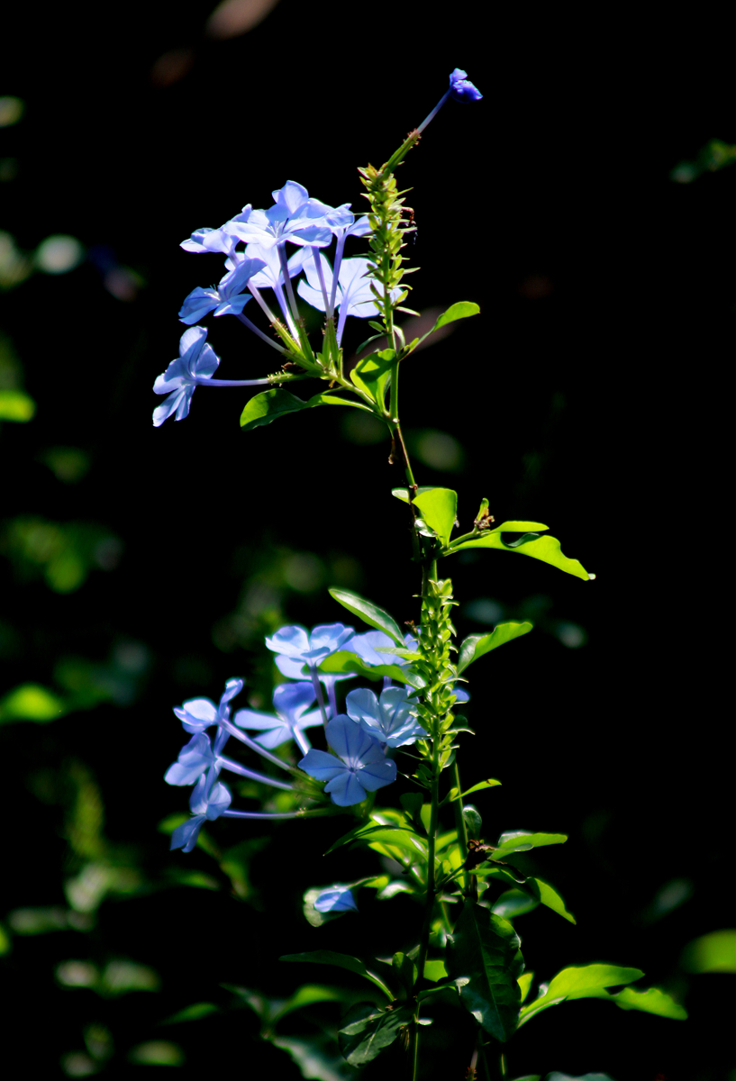 FU2A0284.JPG