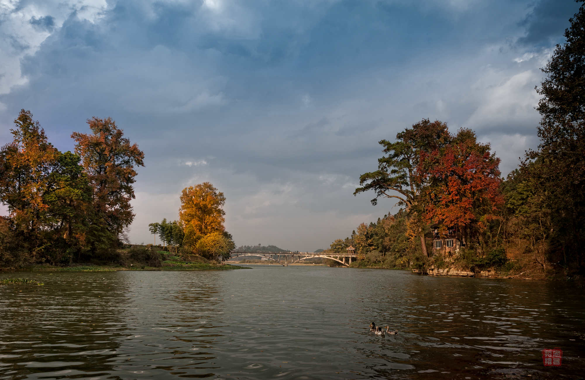 DSC_6007.jpg