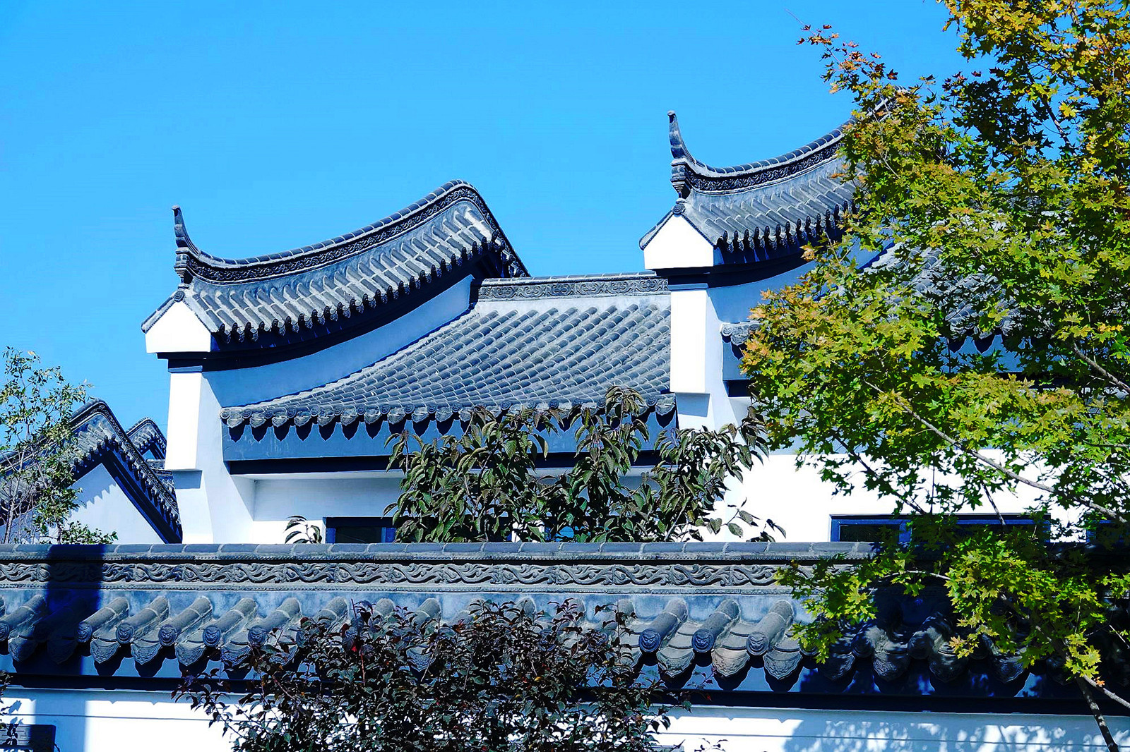 DSC03444_副本.jpg