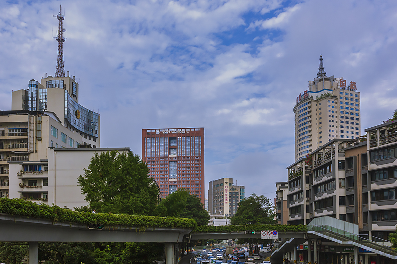 _MG_7099.JPG