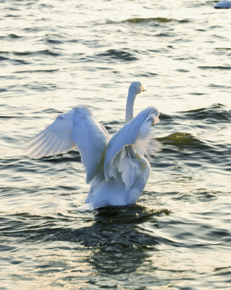 IMG_9776.JPG