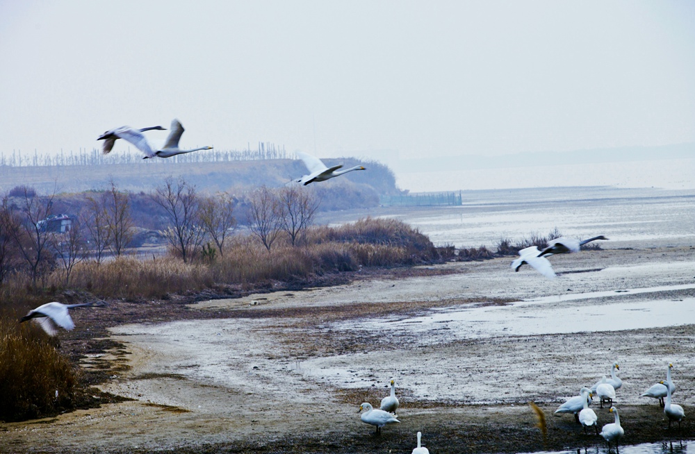 IMG_9893.JPG