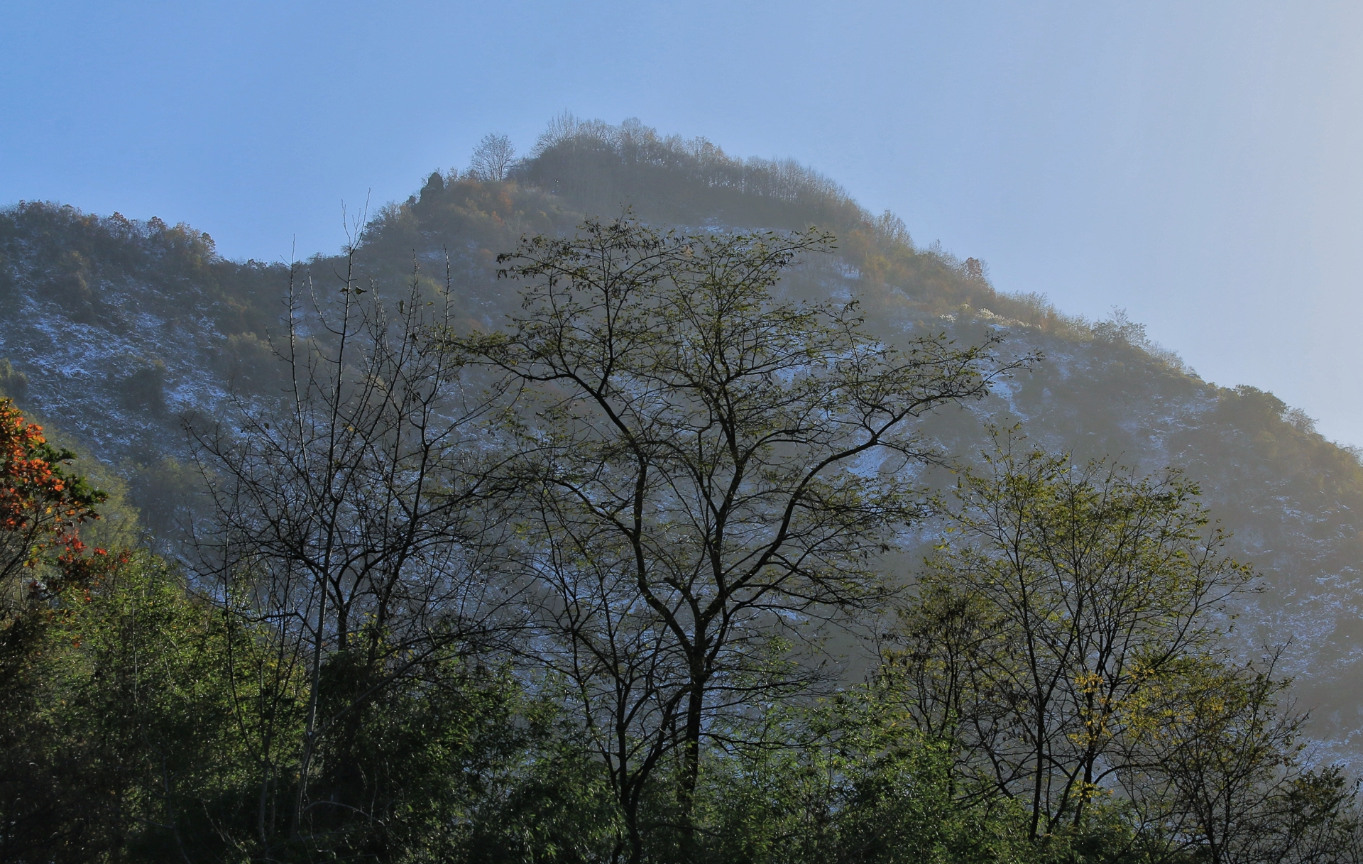 IMG_1236-01.jpeg