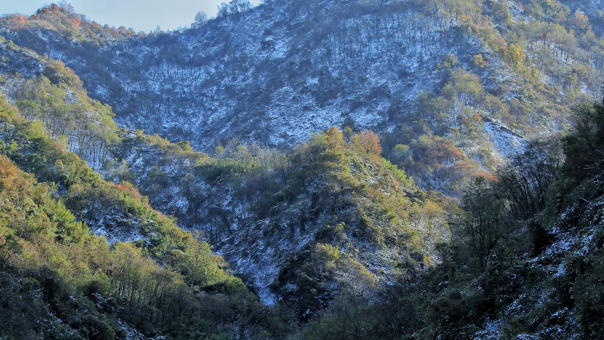 IMG_1234-01.jpeg