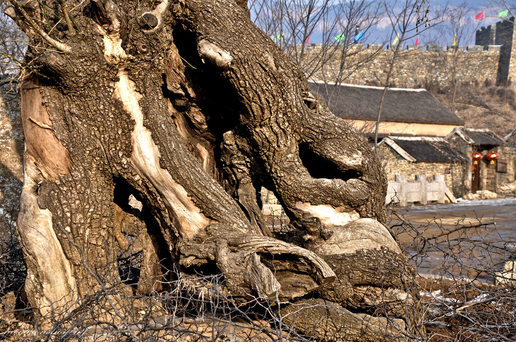 DSC_0456.JPG