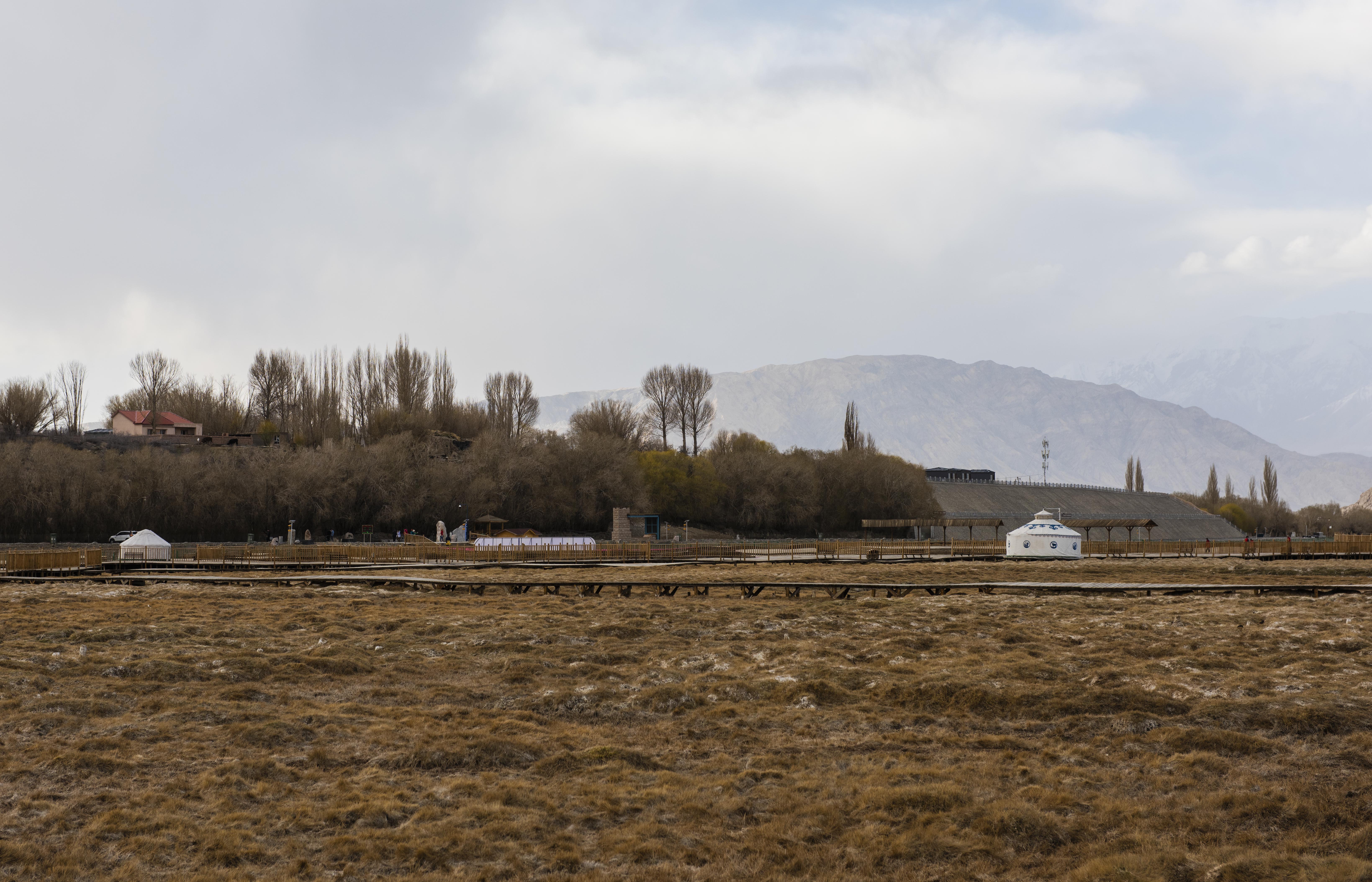 11DSC_8342.jpg