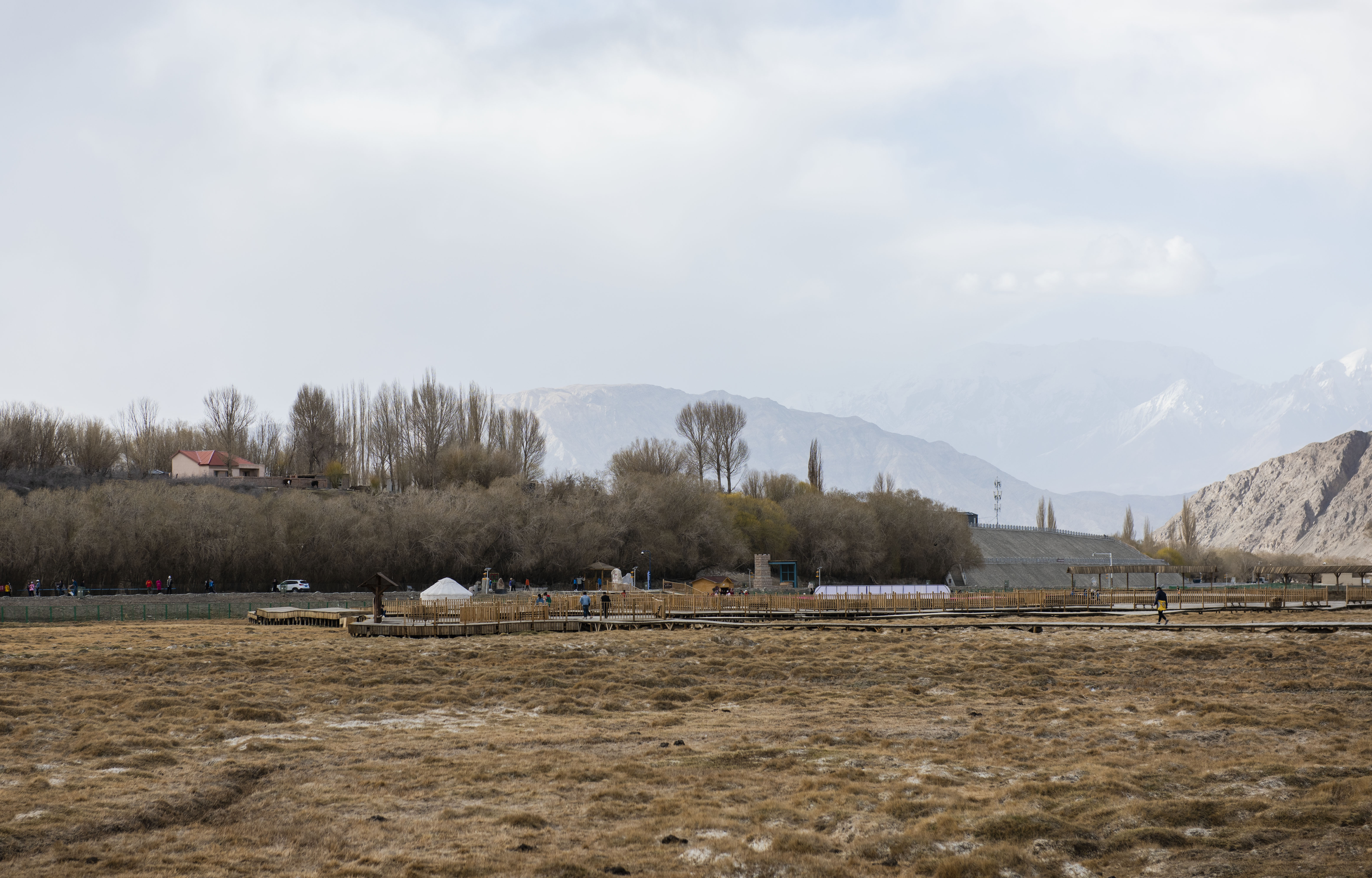 11DSC_8330.jpg