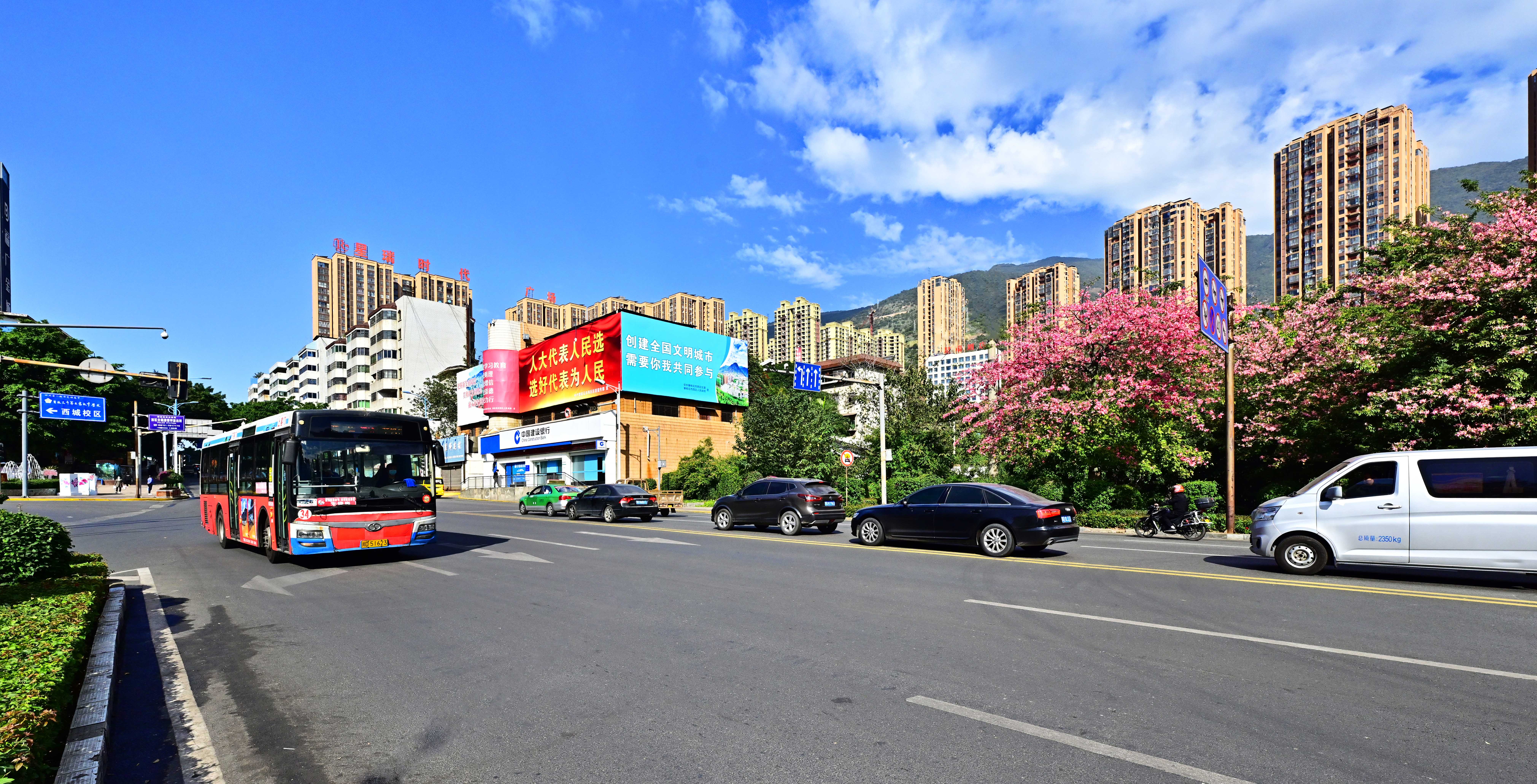 DSC_7859-3.jpg