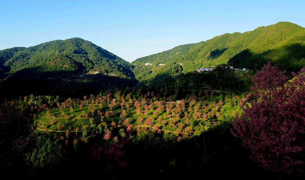 DSC_7221.JPG
