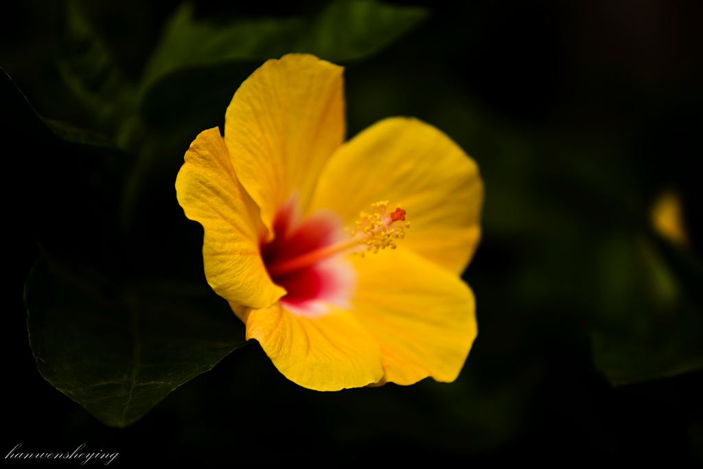 IMG_3624.JPG