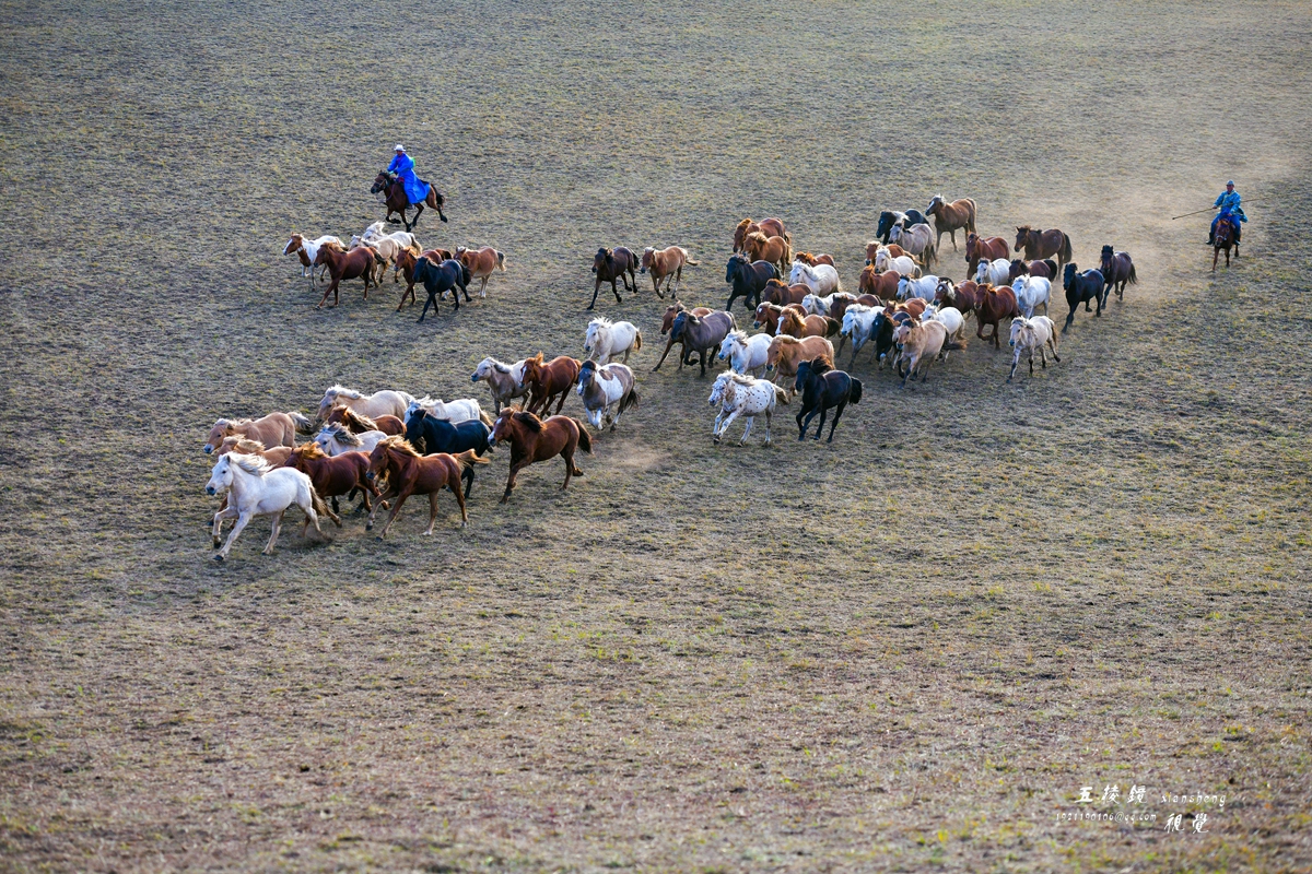 DSC_8493.JPG