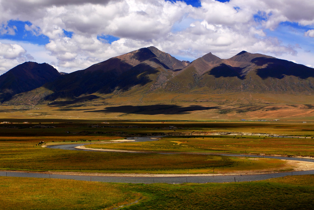 _MG_1005.JPG