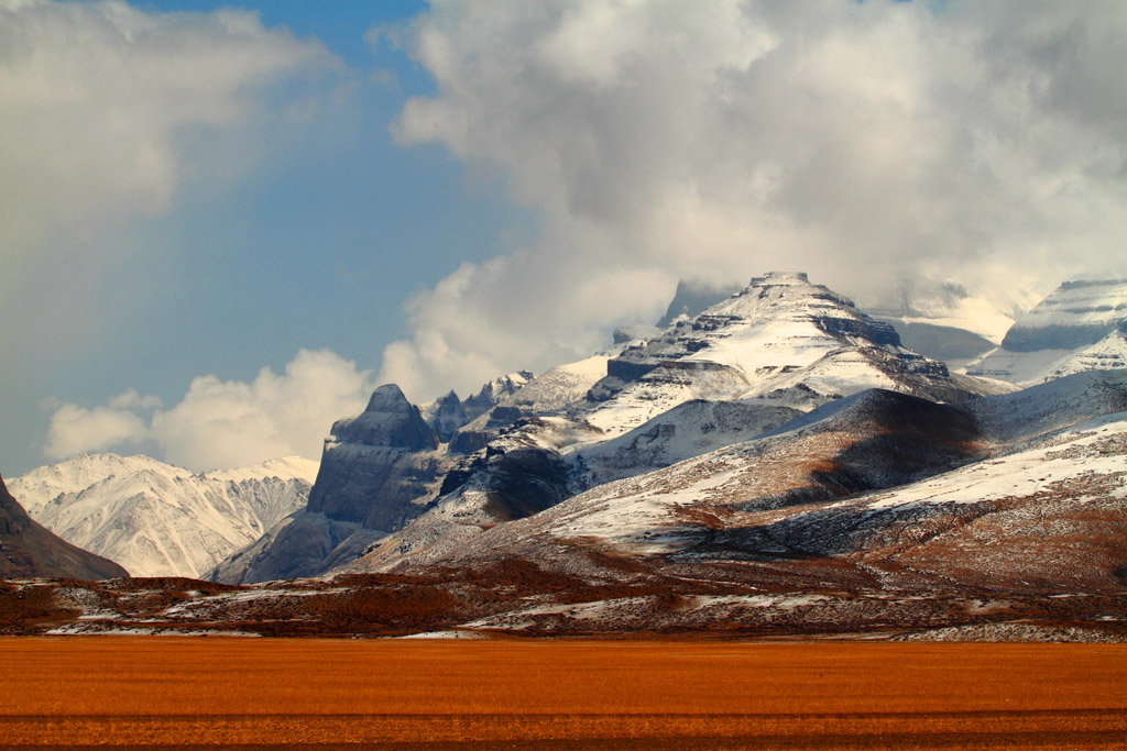 _MG_2079.JPG