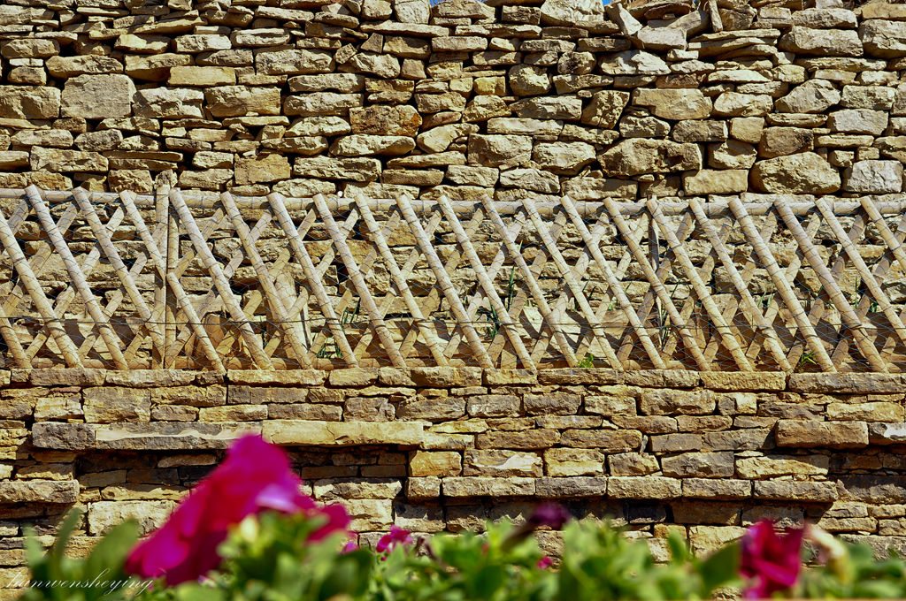 DSC_0009.JPG