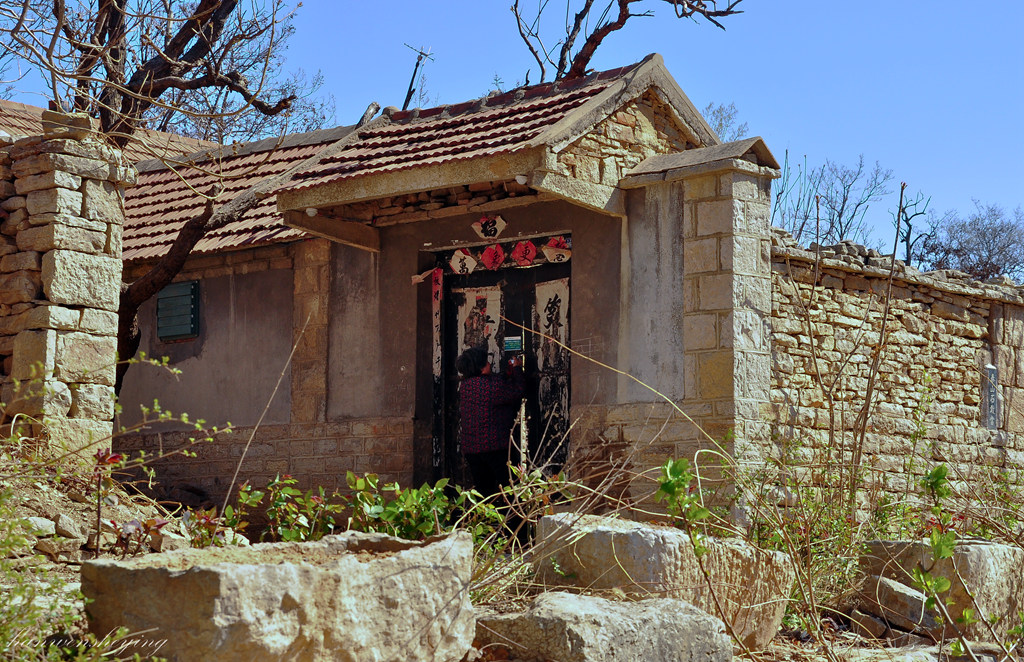DSC_0012.JPG