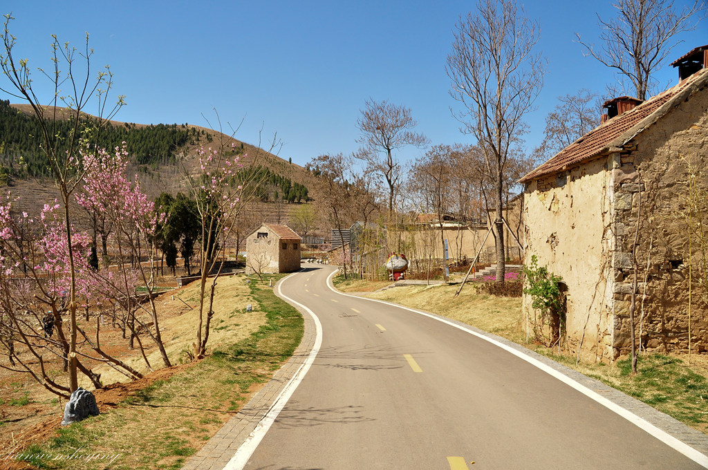 DSC_0035.JPG