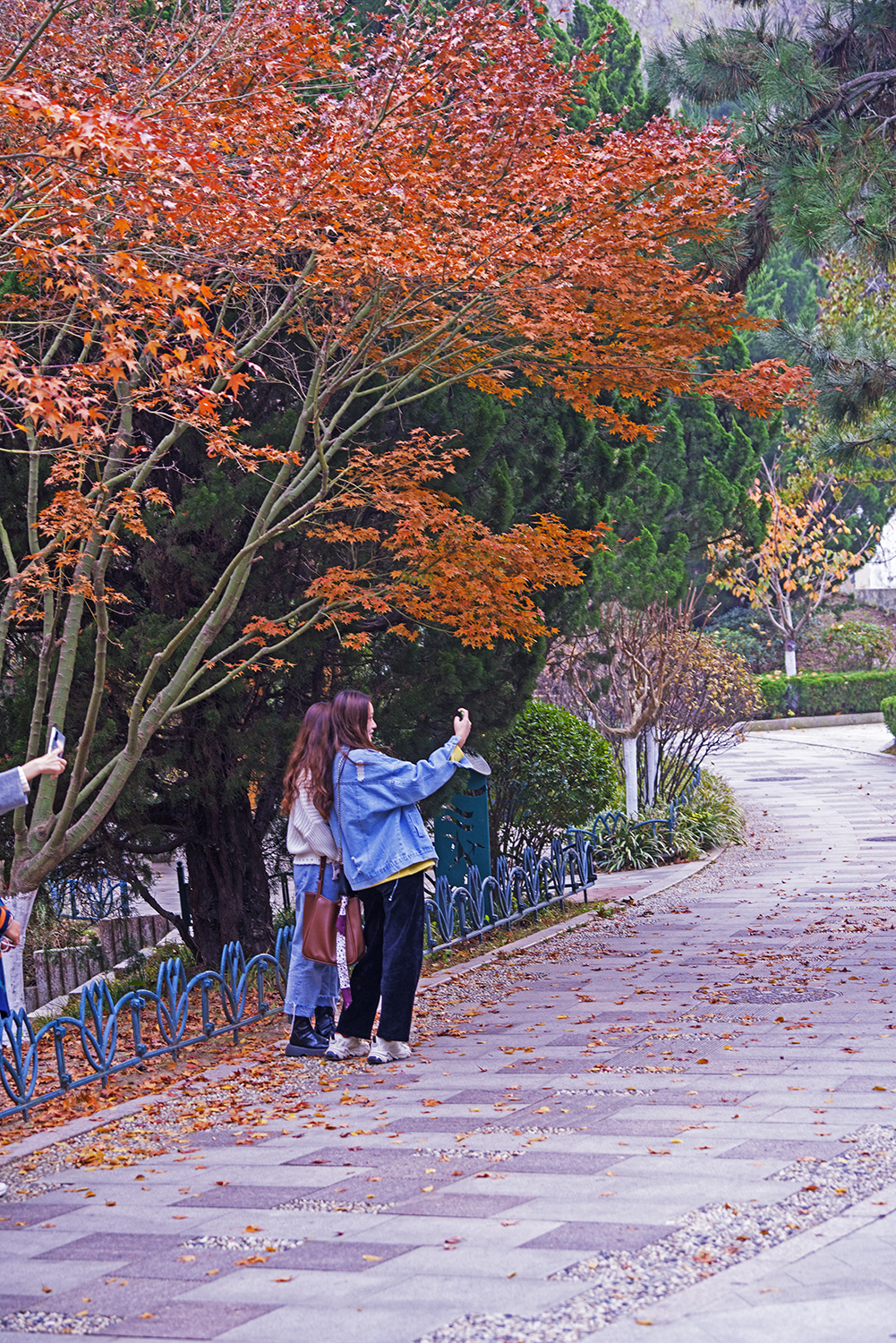 DSC08573.jpg