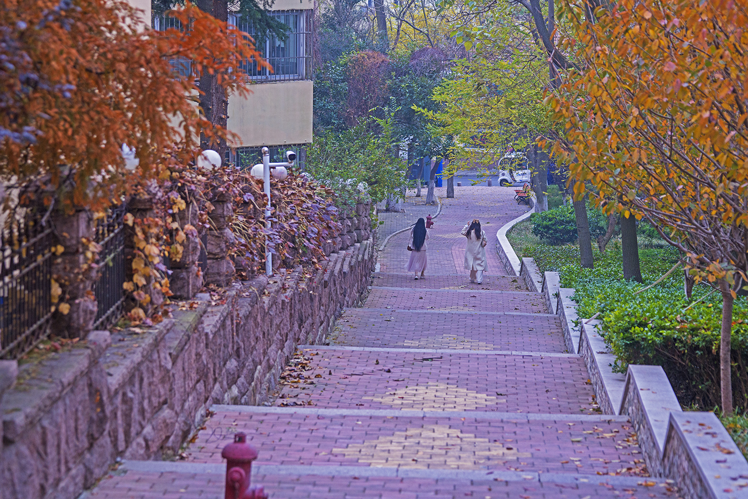 DSC08587.jpg