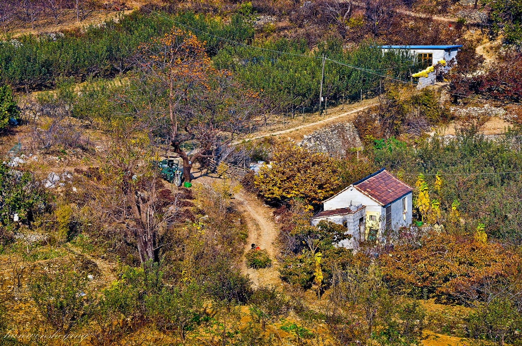 DSC_0001.JPG
