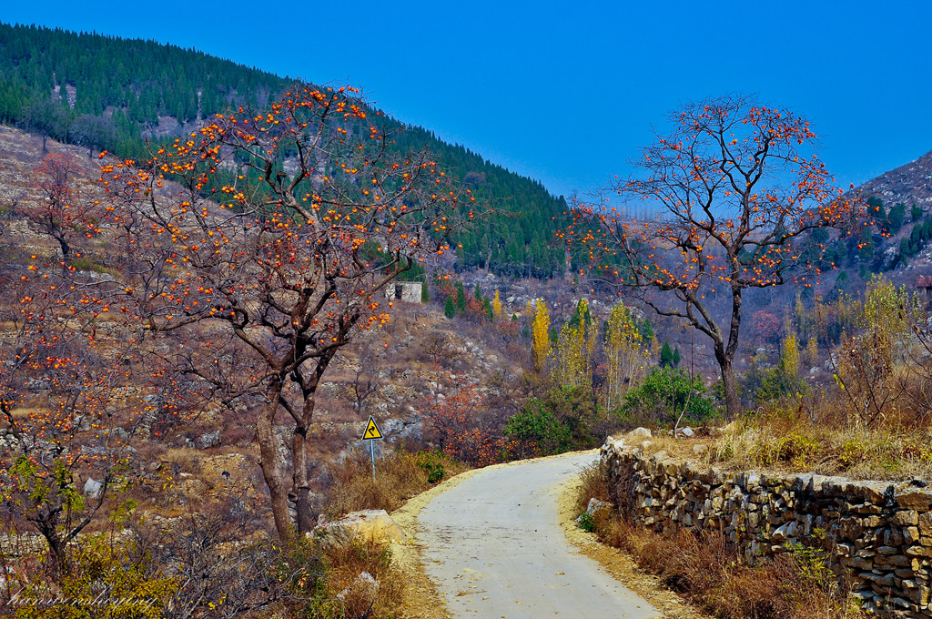 DSC_0009.JPG