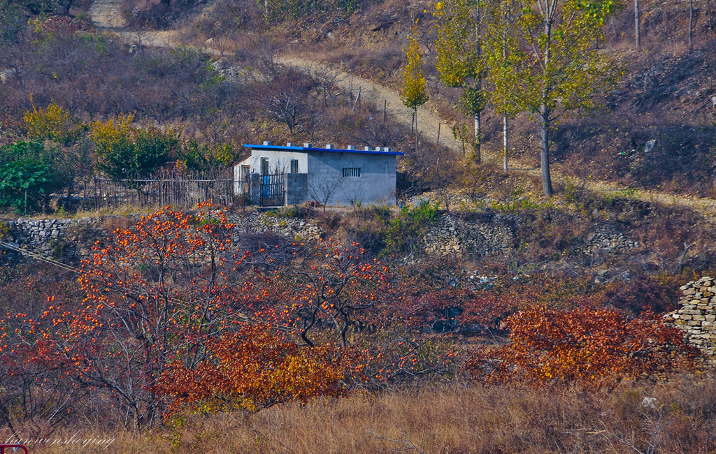 DSC_0006.JPG